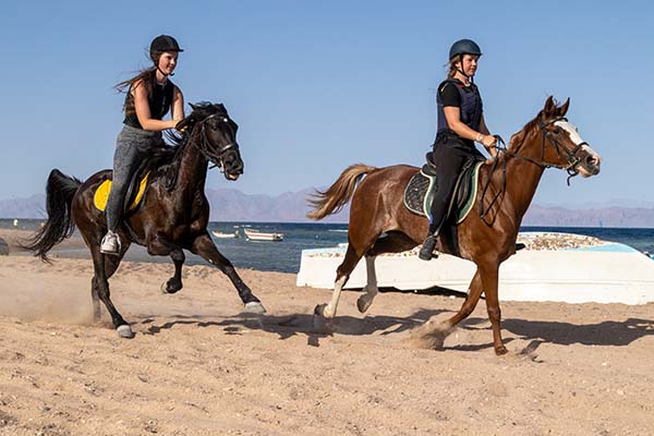 horse_riding_girls Horse Riding Girls