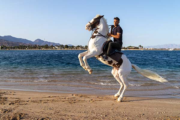 horse_riding_lagoon Horse Riding Lagoon